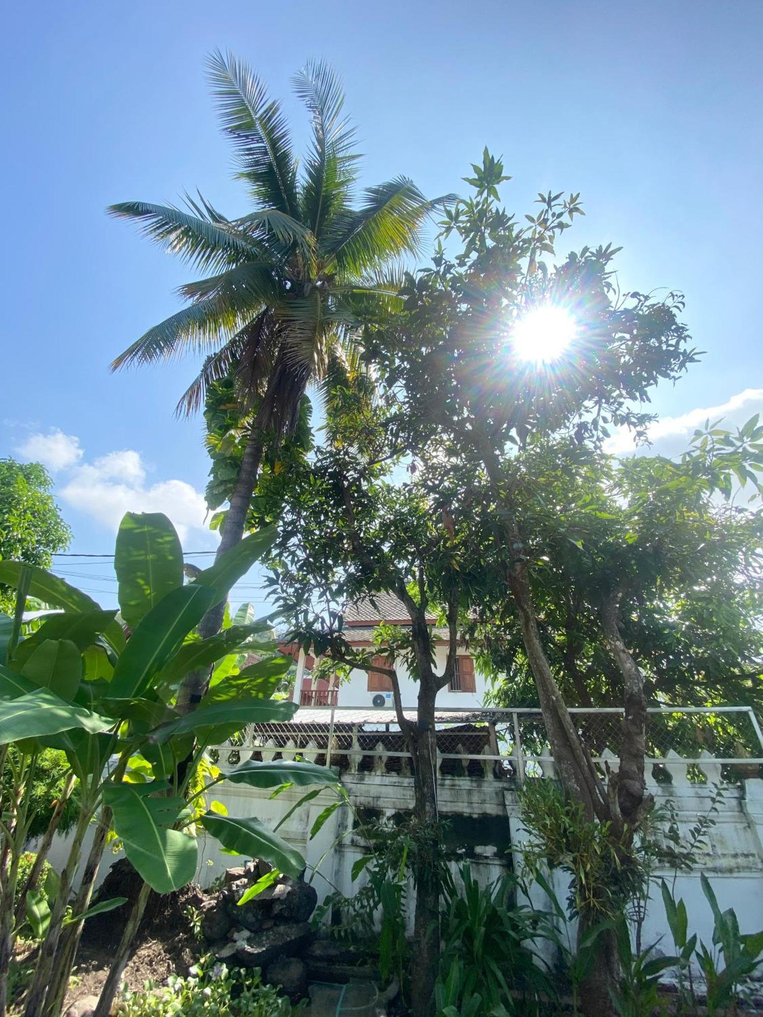 Luang Prabang Residence & Travel Eksteriør billede