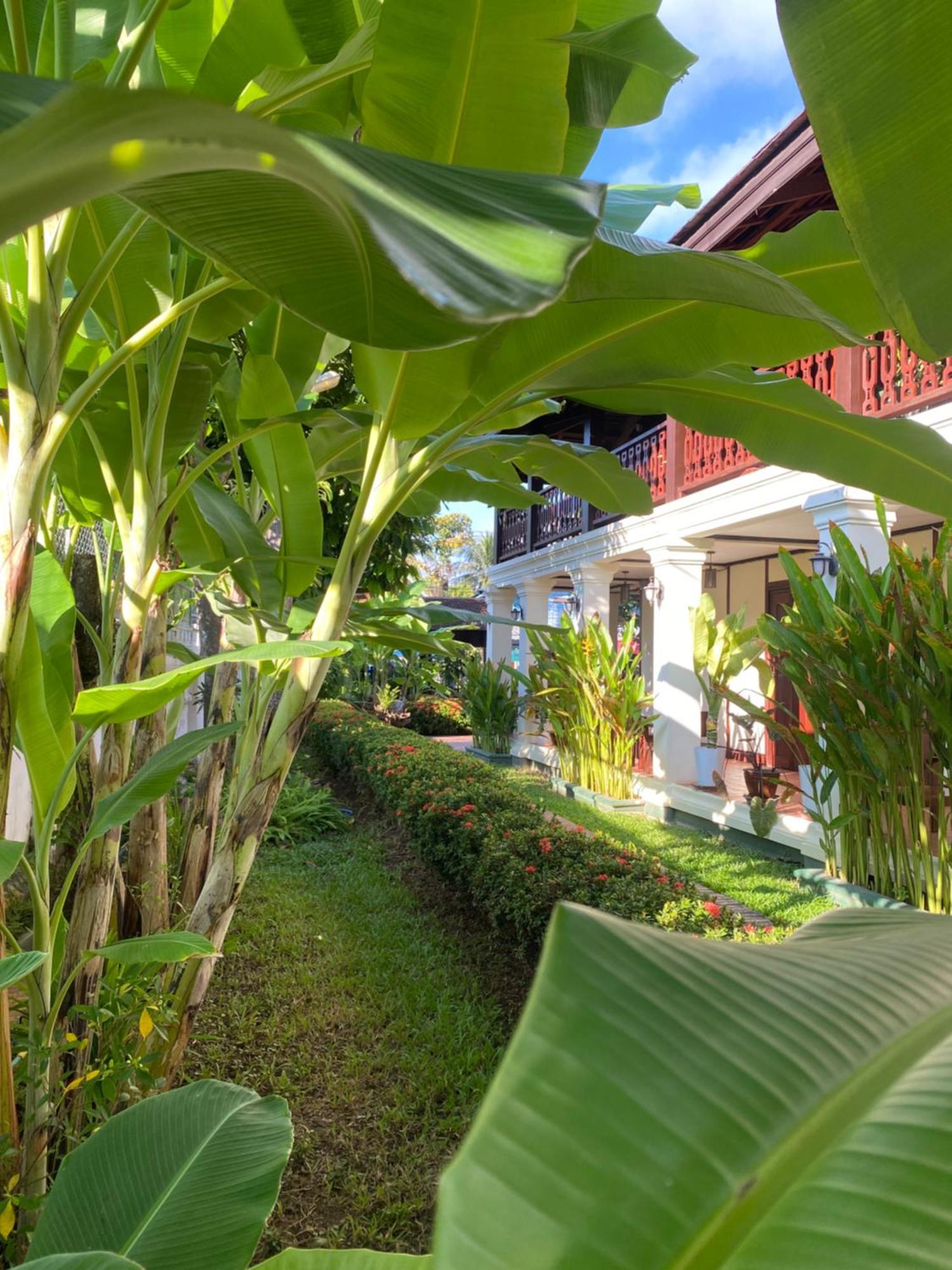 Luang Prabang Residence & Travel Eksteriør billede