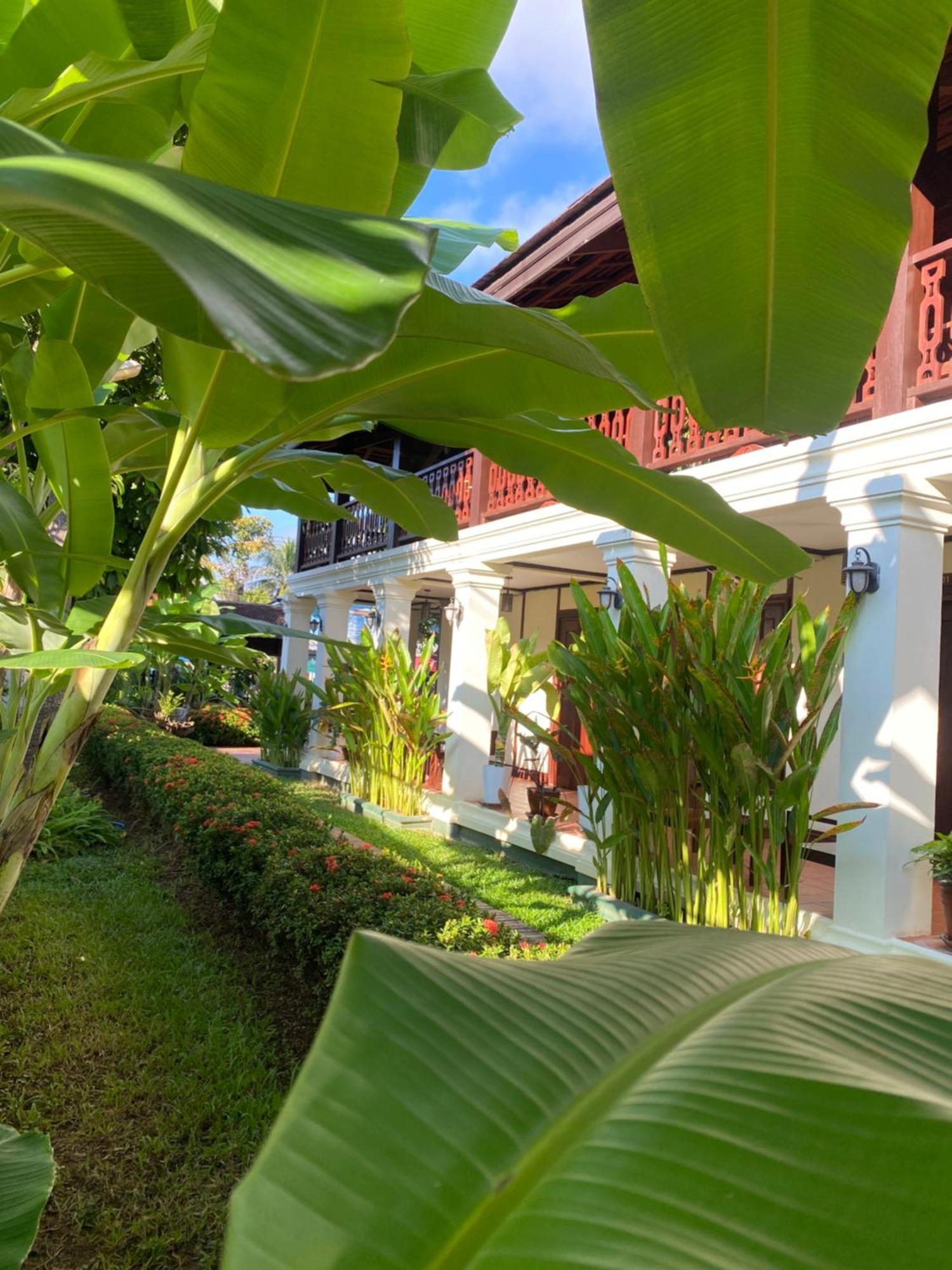 Luang Prabang Residence & Travel Eksteriør billede